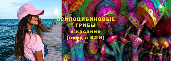 МДПВ Абаза